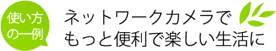 ネットワークカメラでもっと便利で楽しい生活に