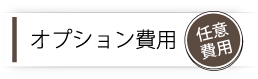 オプション費用