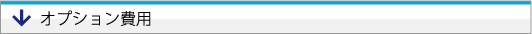 セーフティーアイ　オプション費用